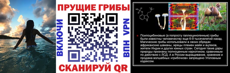 Галлюциногенные грибы мицелий  как найти закладки  Гдов 